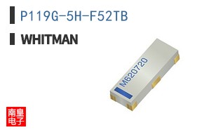 P119G-5H-F52TB