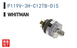 P119V-3H-C12TB-DIS