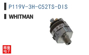 P119V-3H-C52TS-DIS