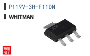 P119V-3H-F11DN