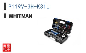 P119V-3H-K31L