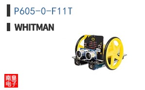 P605-0-F11T