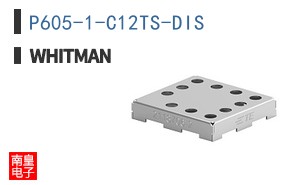 P605-1-C12TS-DIS