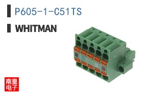 P605-1-C51TS