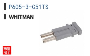 P605-3-C51TS