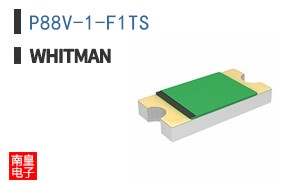 P88V-1-F1TS