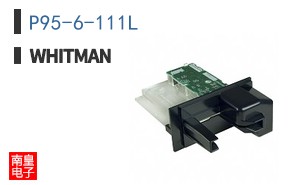 P95-6-111L