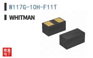 W117G-10H-F11T