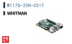 W117G-25H-C51T