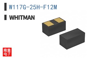 W117G-25H-F12M