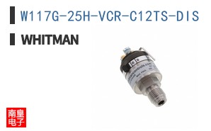 W117G-25H-VCR-C12TS-DIS