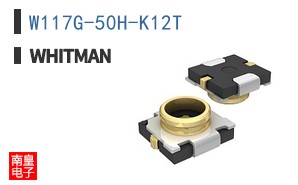 W117G-50H-K12T