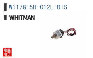 W117G-5H-C12L-DIS