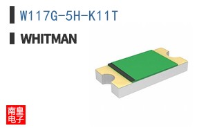 W117G-5H-K11T