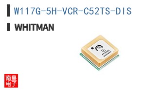 W117G-5H-VCR-C52TS-DIS