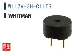 W117V-3H-C11TS