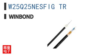 W25Q25NESFIG TR