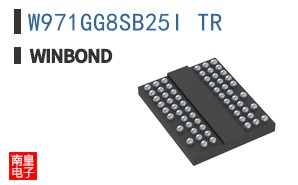 W971GG8SB25I TR