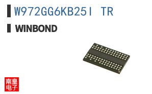 W972GG6KB25I TR