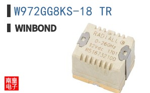 W972GG8KS-18 TR