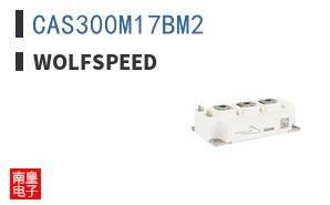 CAS300M17BM2