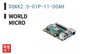 DSKK2.5-01P-11-00AH