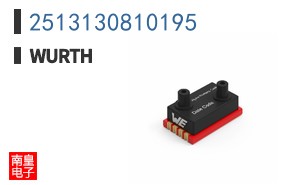 2513130810195