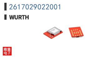 2617029022001