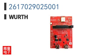 2617029025001