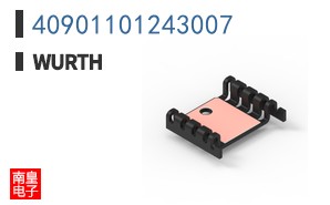 40901101243007