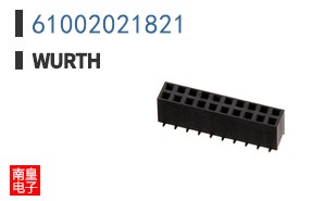 61002021821