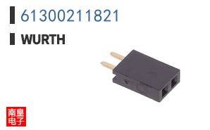 61300211821