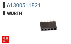 61300511821