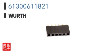 61300611821