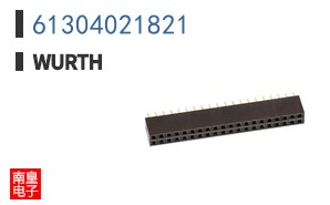 61304021821
