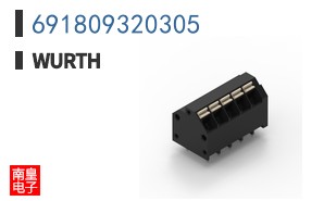 691809320305