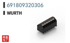 691809320306
