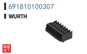 691810100307
