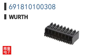 691810100308