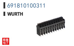 691810100311