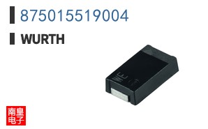 875015519004
