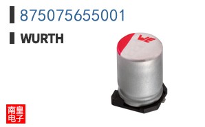 875075655001