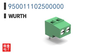 950011102500000