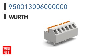950013006000000