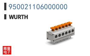950021106000000