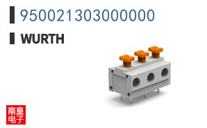 950021303000000