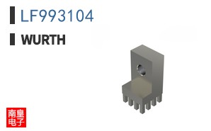LF993104
