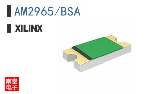 AM2965/BSA