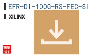 EFR-DI-100G-RS-FEC-SITE