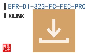 EFR-DI-32G-FC-FEC-PROJ